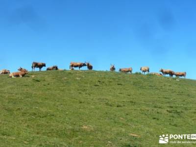 Somiedo, viaje Asturias; senderismo madrid singles viajes culturales españa viajes con actividades